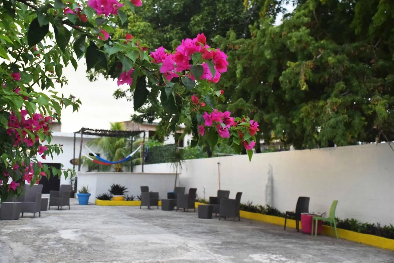 Hostal Casa Bohemia Mérida Auberge de jeunesse