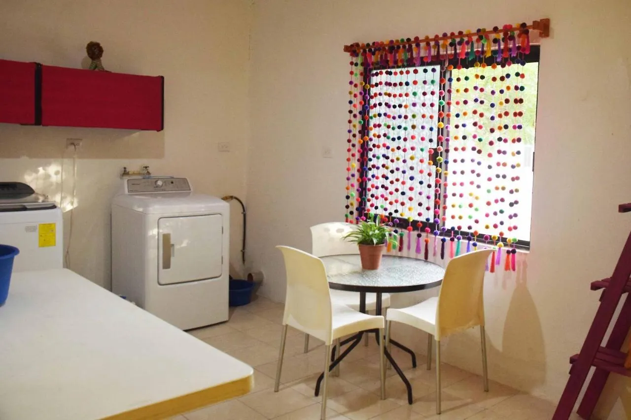 Hostal Casa Bohemia Mérida Mexique