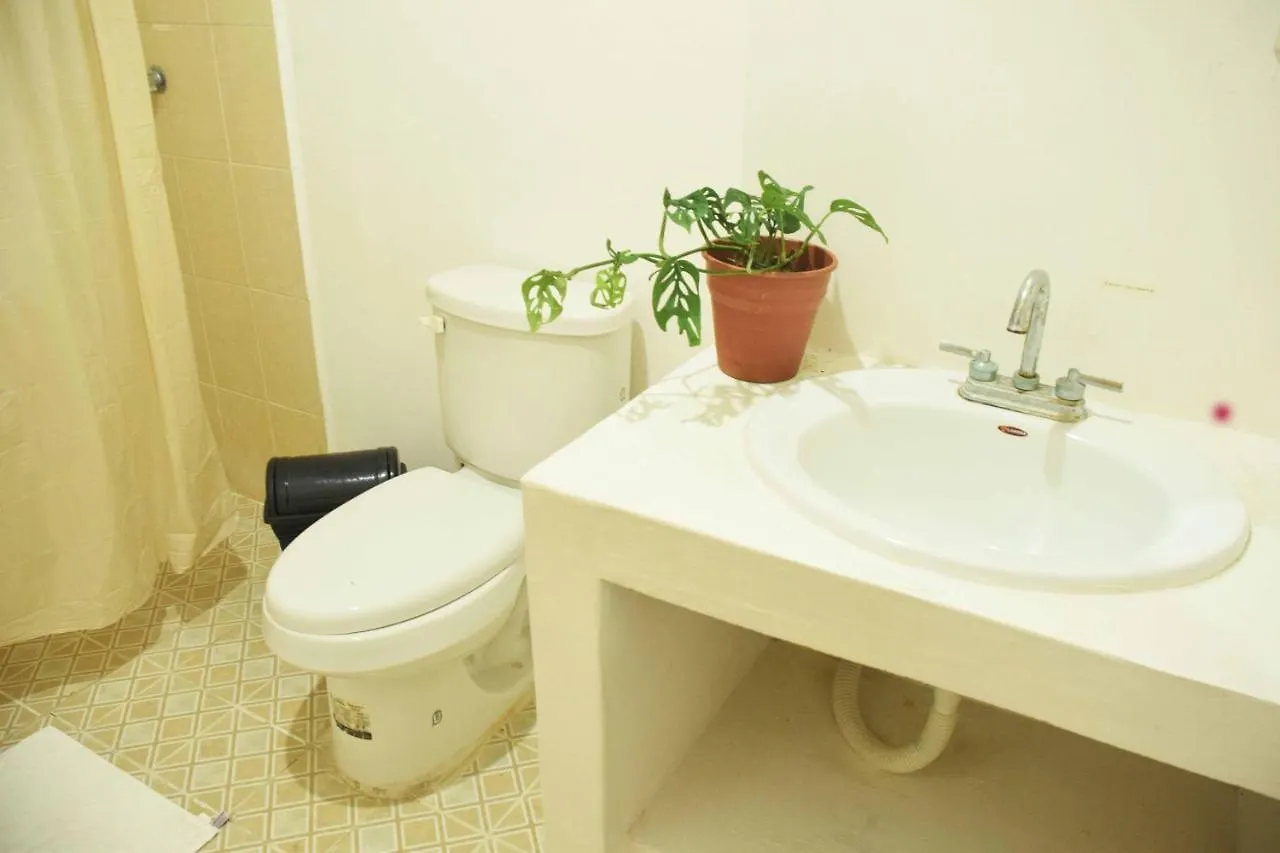 Hostal Casa Bohemia Mérida Auberge de jeunesse