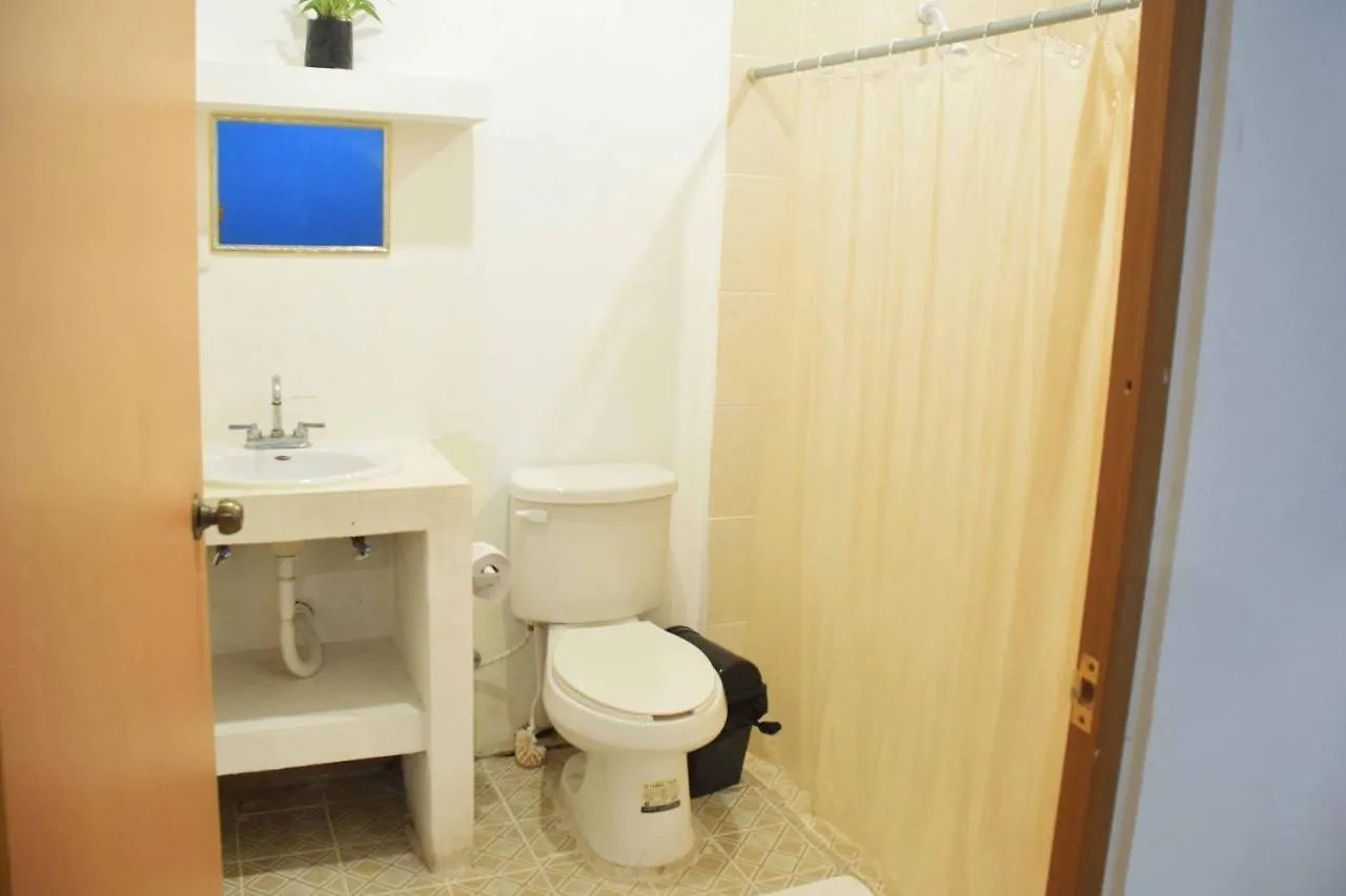 Auberge de jeunesse Hostal Casa Bohemia Mérida Mexique